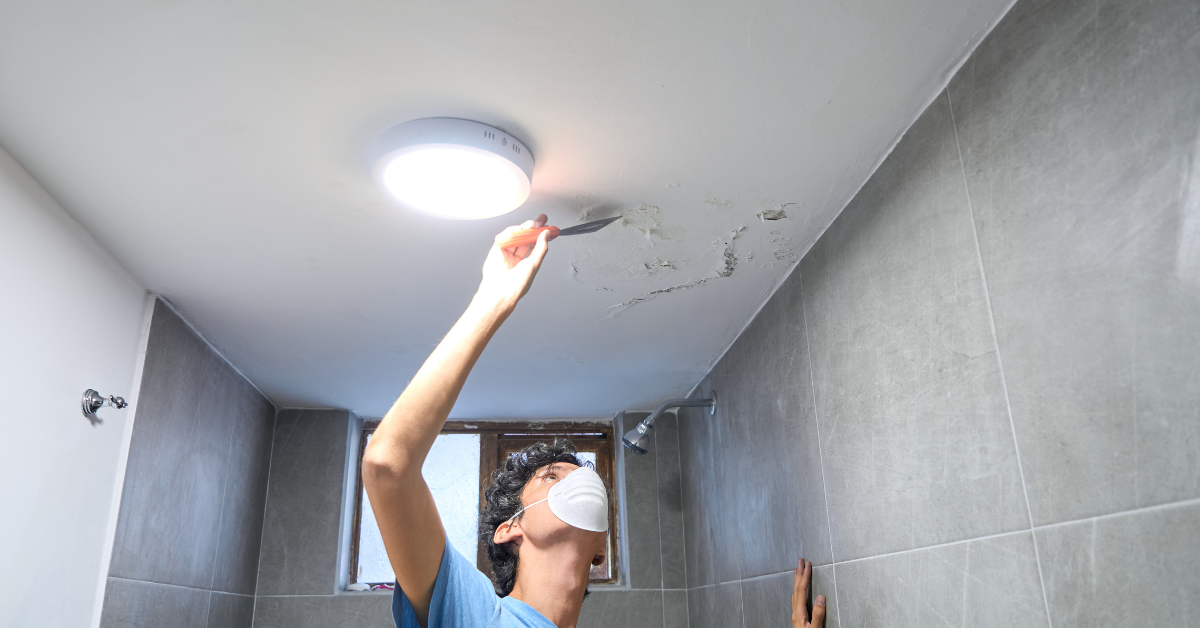 Mold Remediation Near Me