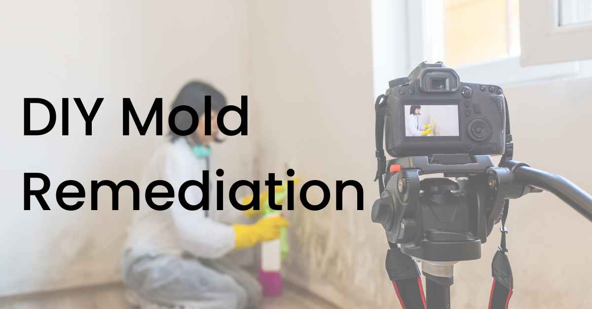 Can You Remediate Mold Yourself?