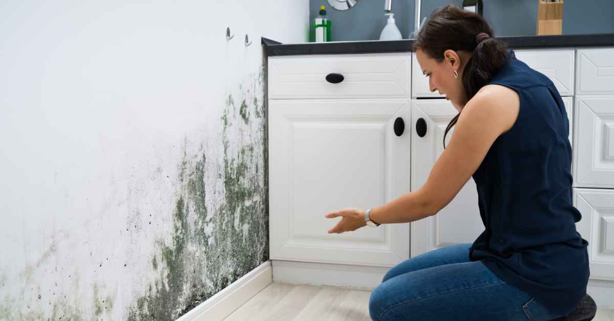What Kills Mold Permanently?