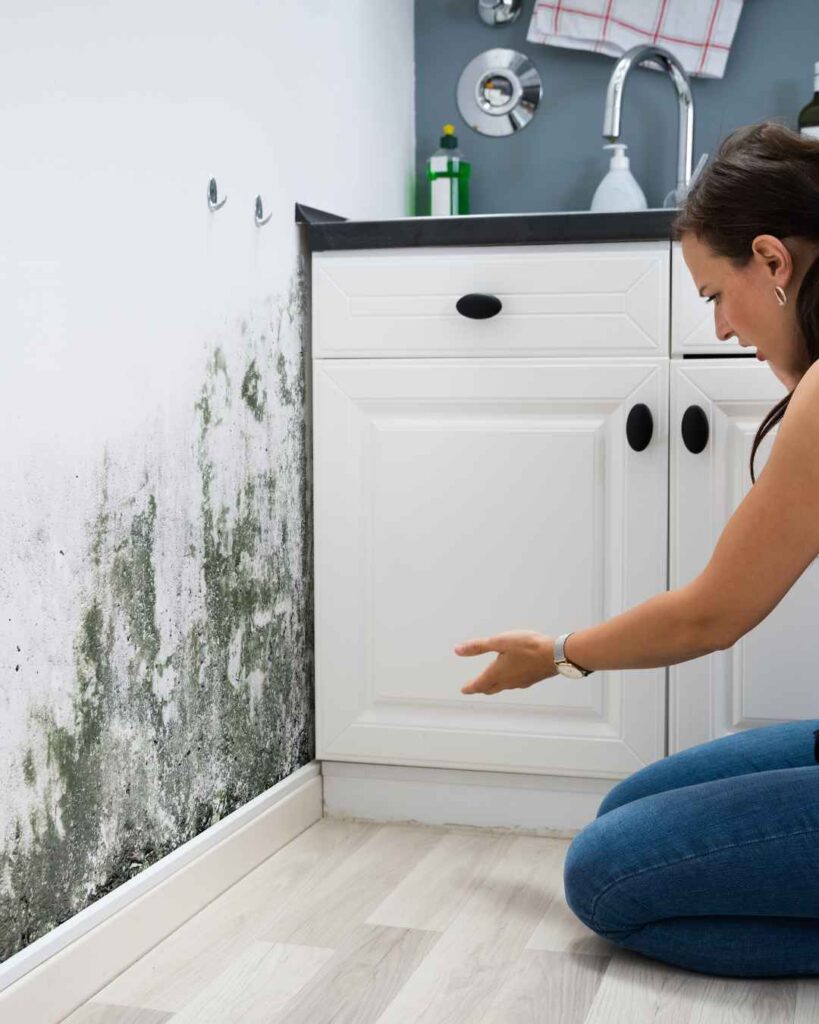 What Kills Mold Permanently? What Kills Mold Permanently?
