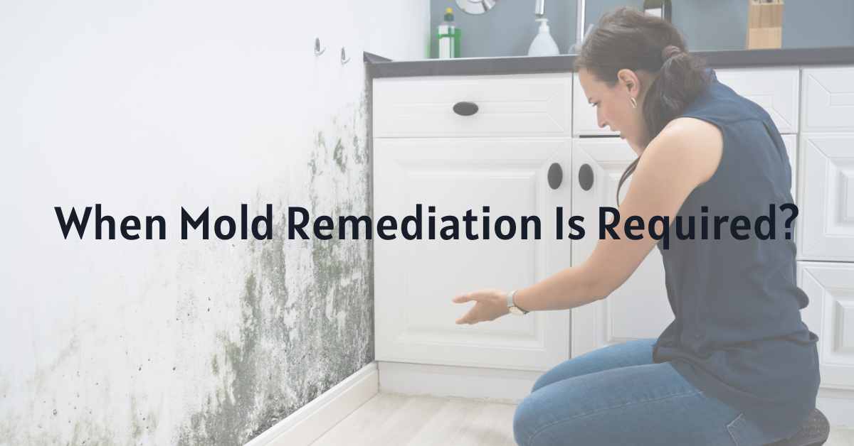 When Mold Remediation Is Required?